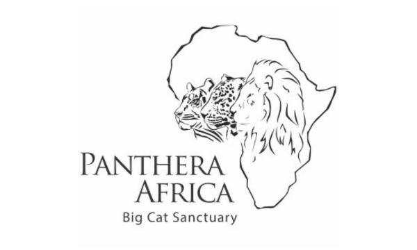 panthera africa