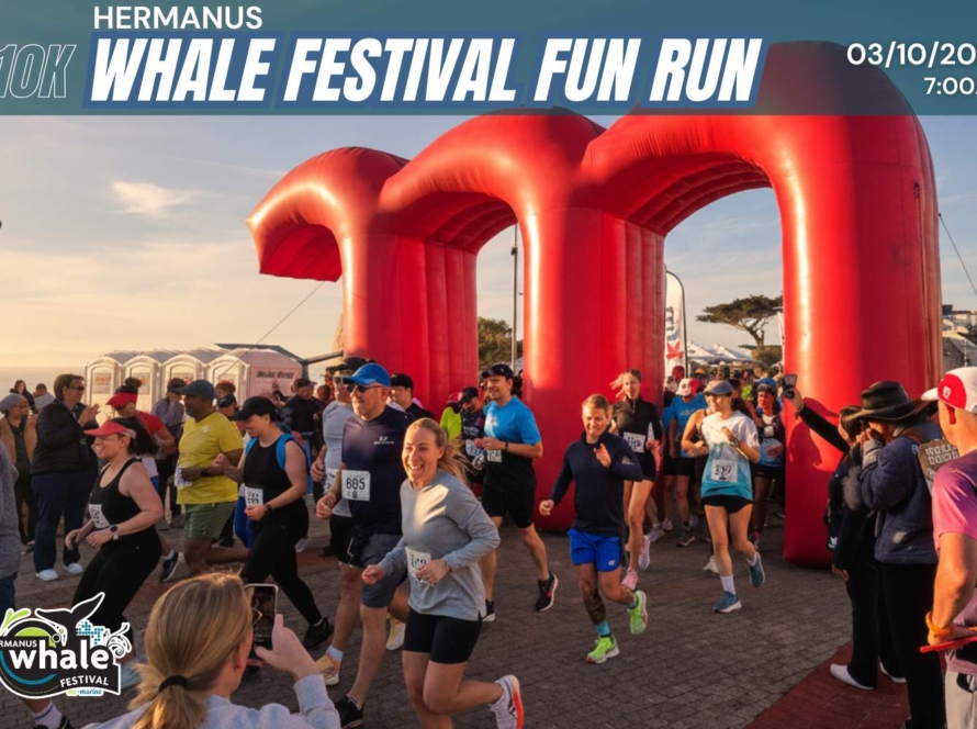 Hermanus Whale Festival fun run
