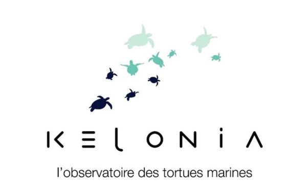 kellonia sponsor