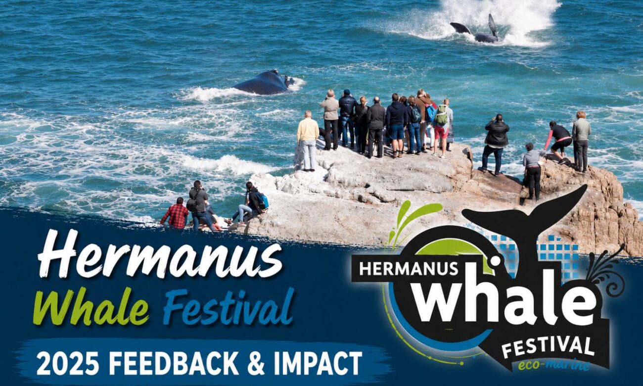 2025 Whale festival feedback and impact