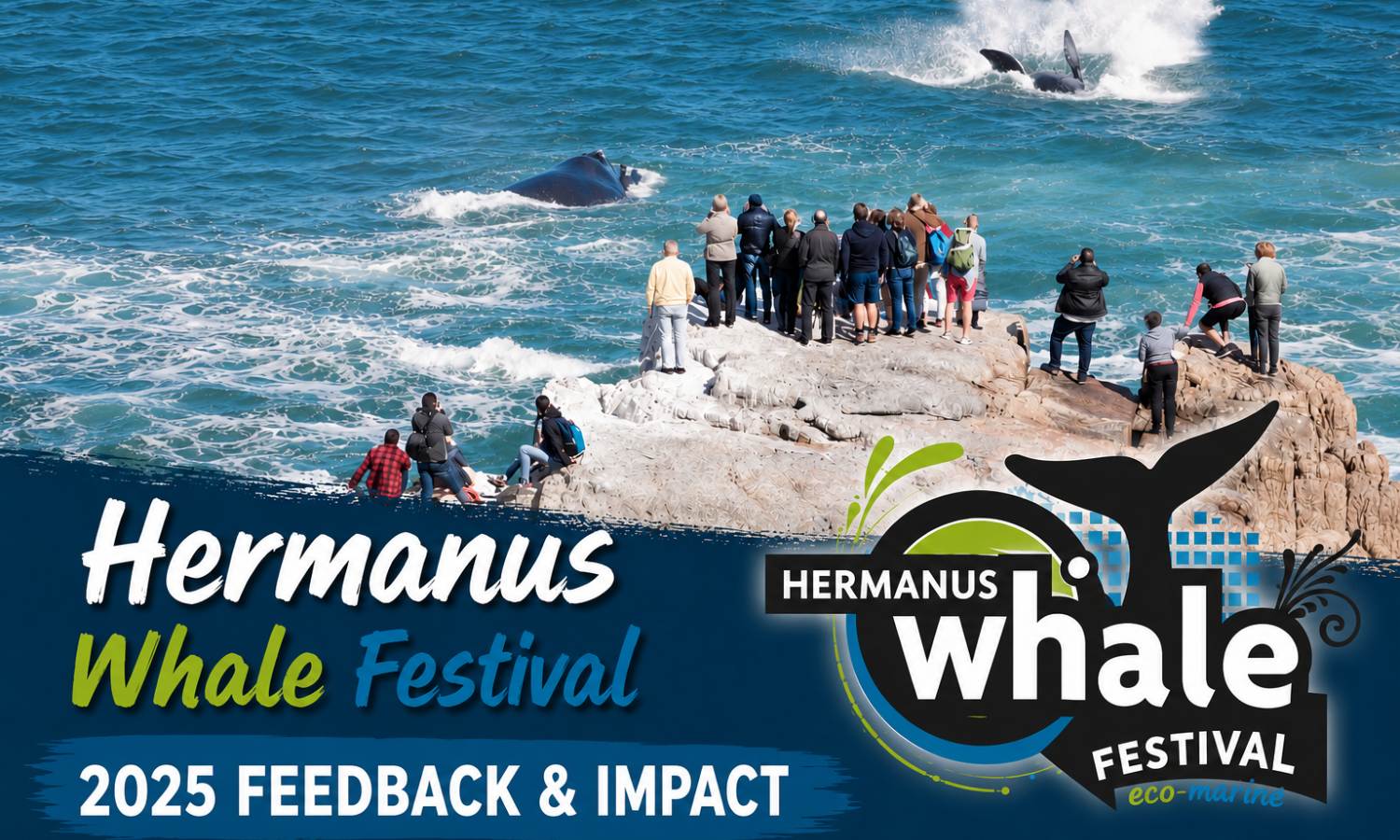 2025 Whale festival feedback and impact