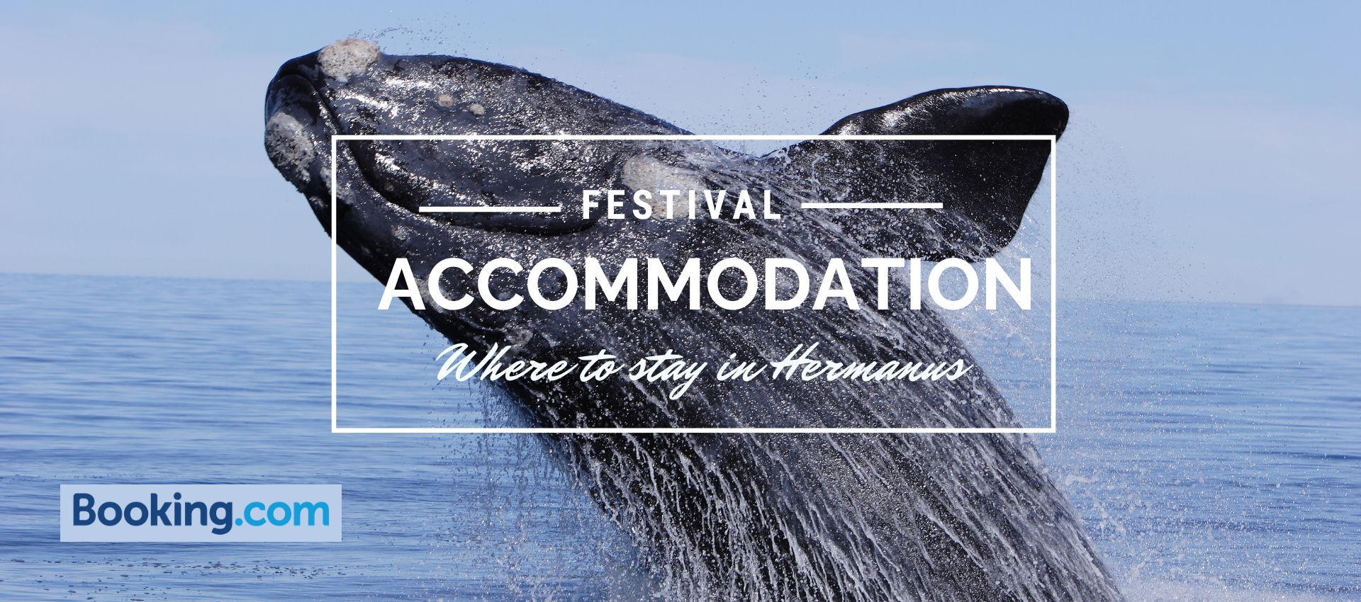 hermanus accommodation