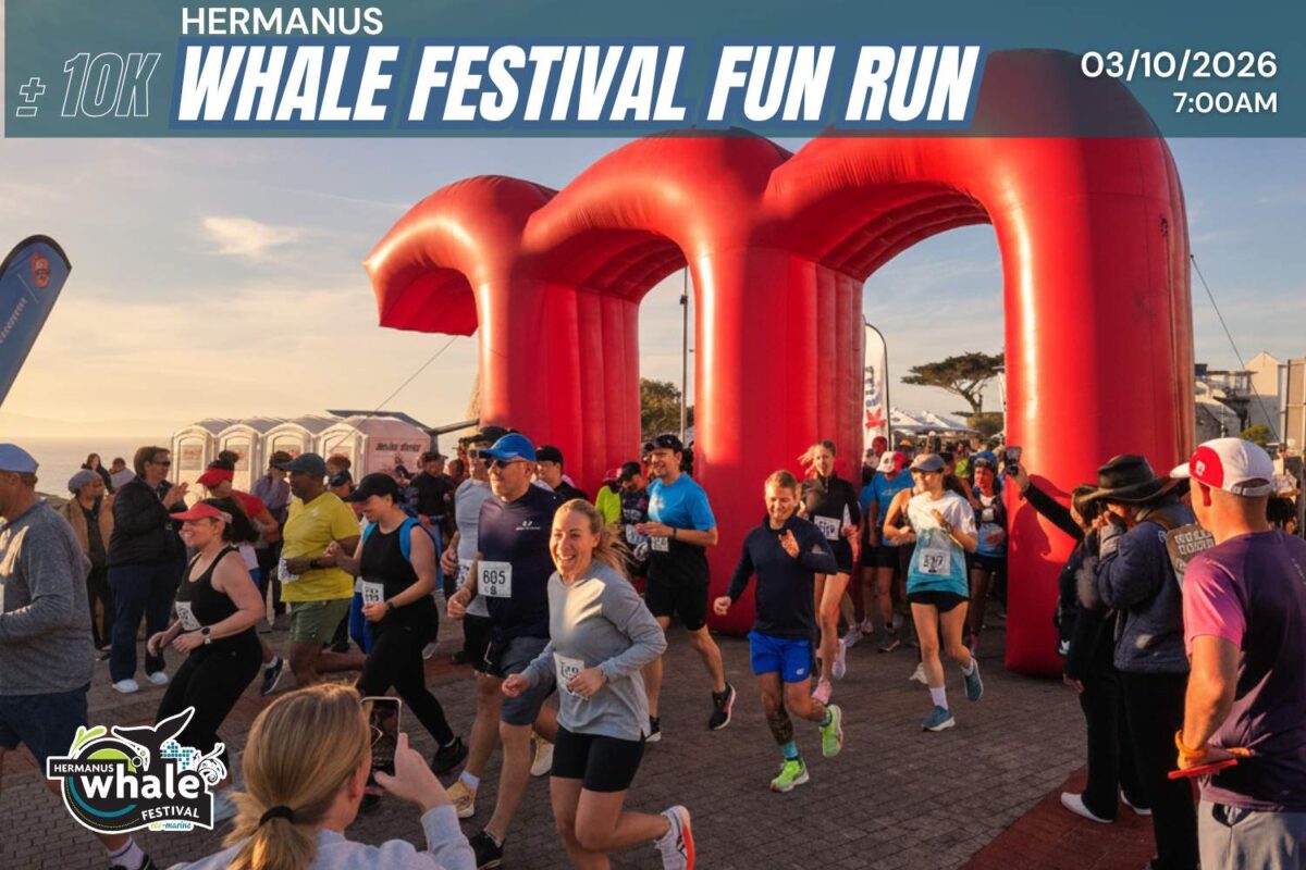 fun run whale festival