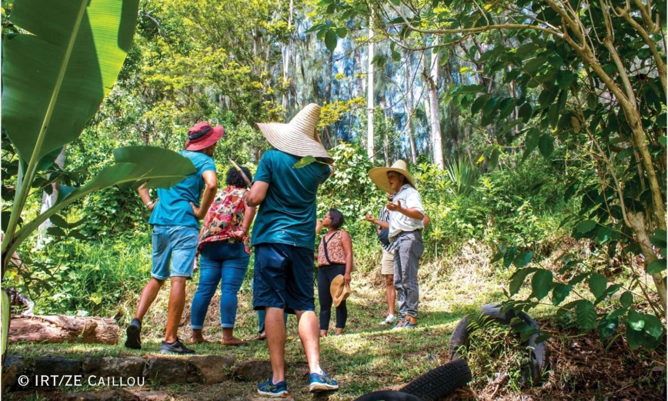 Reunion Island: A Journey to the Heart of the Indian Ocean