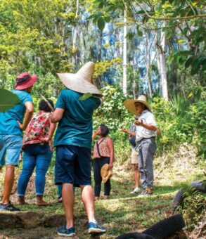 Reunion Island: A Journey to the Heart of the Indian Ocean