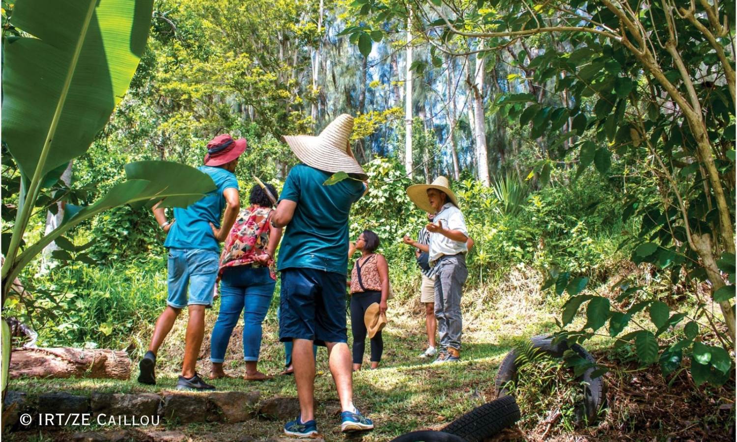 Reunion Island: A Journey to the Heart of the Indian Ocean