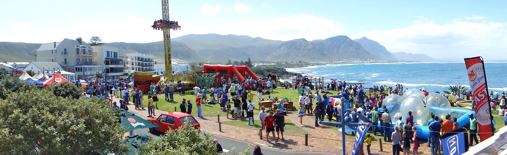contact the Hermanus whale festival