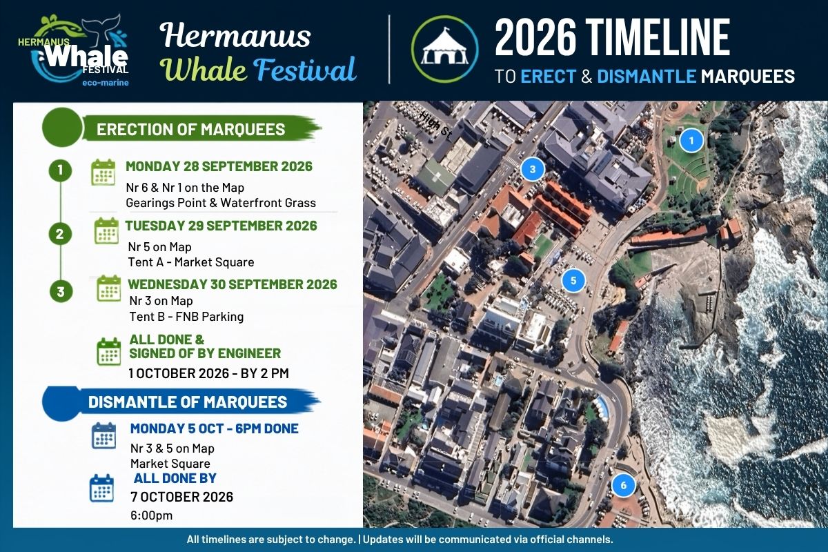 Marquee timeline
