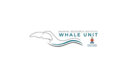 Whale unit